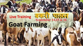 1st Day Live training on Goat Farming || बकरी पालन कैसे करें || September 14th, 2020