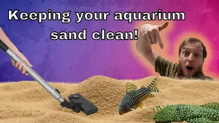 Cleaning aquarium sand, gravel and substrate.