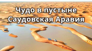 Чудо природы в пустыне! Саудовская пустыня превращается в большое озеро!