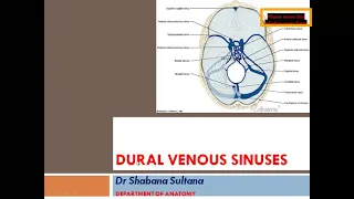 Dural folds, dural venous sinuses Cavernous sinus Dr Shabana