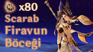 80 Firavun Böceği (Scarab) - Cyno Yükseltme Malzemesi | Genshin Impact Türkçe