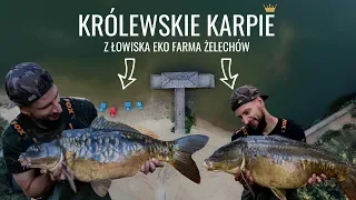 CO SKRYWA ŁOWISKO EKO FARMA ŻELECHÓW?