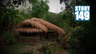 My newly renovated BAMBOO HOUSE | Harvest banana, cherry tomatoes and taro leaves | Cook laing