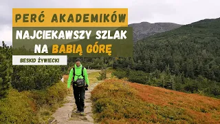 Babia Góra Percią Akademików ⛓ - Najciekawszy szlak na Diablaka 😈 | ⛰ Korona Gór Polski ⛰ |