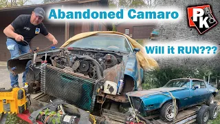 Will it RUN Abandoned Camaro / 1977 Chevy Camaro