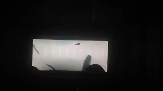 Namor attack on Wakanda / audience reaction / wakanda forever / Marvel Studios