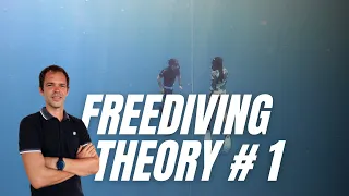 Learn BREATH HOLD Theory in 15 Minutes | Freediving for Beginners Part 1