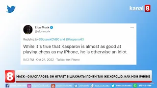 Маск - о Каспарове: Он играет в шахматы почти так же хорошо, как мой iPhone