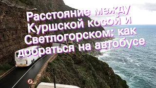 Расстояние между Куршской косой и Светлогорском: как добраться на автобусе