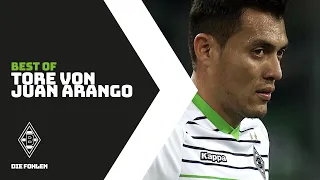 Die schönsten Tore von Juan Arango | Best of Borussia