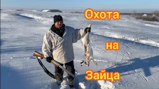 охота на зайца