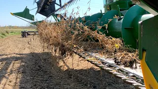 First day of harvest 19 combines stuck.