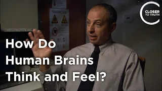 John Mazziotta - How Do Human Brains Think and Feel?