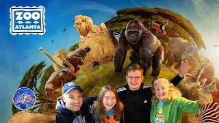 Zoo Atlanta | Amazing Gorilla Egg Hunt| New Photo Pass l Giant Pandas 4K