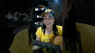 Leão Domado -Chico Rey e Paraná (Cover) .trecho de live.