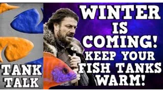 Keeping Your Fish Tank Warm In  The Winter! Tank Talk Presented By KGTropicals!!