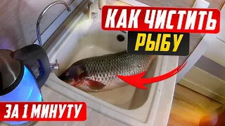 How to remove scales from fish in 1 minute.