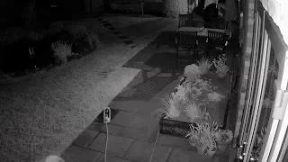 Reolink Captures: Ghost Caught on Security Camera