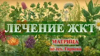 Желудочно-кишечный тракт (Лечение ЖКТ)💎Матрица Гаряева