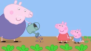 Heo Peppa | Làm vườn | Phim Hoạt Hình Cho Trẻ Em