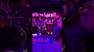 Shadowland's  2nd Mannequin Challenge At My Bar on NYE 2016