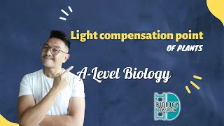 A-Level Biology - Light compensation point of plants