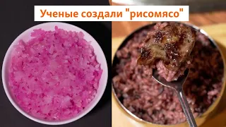 Ученые создали "рисомясо" | Сибирь.Реалии