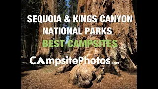 Sequoia & Kings Canyon National Park Best Campsites