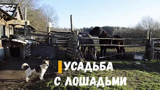 Дом в деревне. Усадьба с лошадьми. Хозяин лошадей.