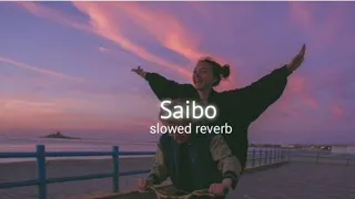 Saibo [Slowed+Reverb]- Shor In The City | Textaudio Lyrics