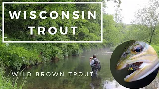 BIG FISH x BIG HOPPERS | Tis the season | By far the best trout fishing...