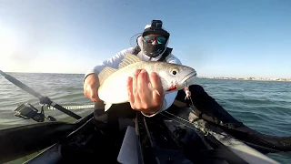 Melkbos Strand Kabeljou NOV 2019