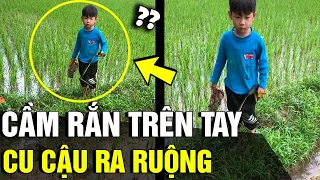 Mẹ tìm 'HẾT CẢ HƠI' không thấy con, chạy ra đồng thì 'XỈU NGANG' vì thấy cảnh này | Tin Nhanh 3 Phút