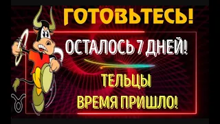 ♉ТЕЛЬЦЫ ВРЕМЯ ПРИШЛО! ОСТАЛОСЬ 7 ДНЕЙ!