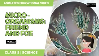 Microorganisms Friend And Foe - Virus and Bacteria | Part 2/2 | Class 8 Science | TicTacLearn