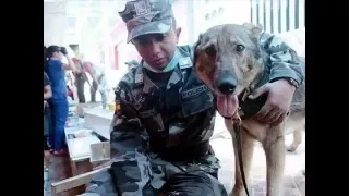 2016 Terremoto Ecuador Policia Nacional 1