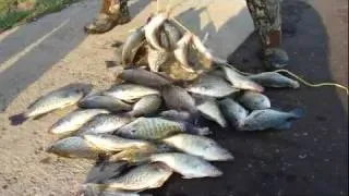 Crappie Fishing Docks 1/23/2012