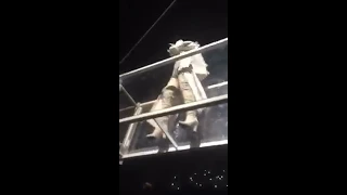 Rihanna performs Woo + Sex With Me at Barclays Center - March 27, 2016
