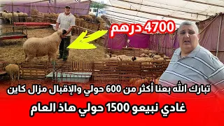 من زريبة موحي وزهير تبارك الله باعو أكثر من 600 حولي والإقبال مزال كاين غادي نبيعو 1500 حولي