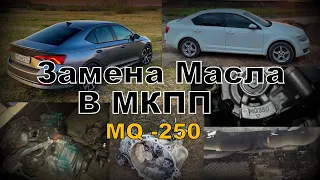 Skoda: Грамотная Замена Масла в МКПП MQ-250 (2021)