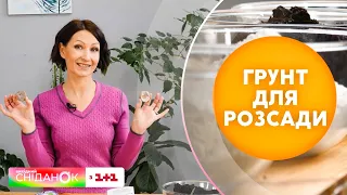 Як підготувати ґрунт для посадки — 3 дієвих способи від Антоніни Лесик