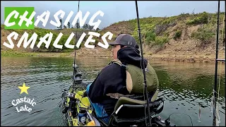 Small Baits, Big Lake. Searching for Smallmouth Bass at Castaic Lake CA.