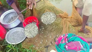 Amazing fishing video 2020 in village | part 4 |