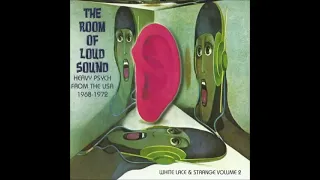 Various ‎– The Room Of Loud Sound : Heavy Psych From The USA 1968-72 - White Lace & Strange Vol 2 LP