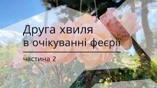 Друга хвиля. У передчутті феєрії серпня. Частина 2