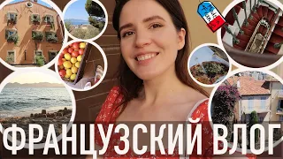 ♥️ФРАНЦУЗСКИЙ ВЛОГ - 🌴КАННЫ, НЕОБЫЧНАЯ КВАРТИРА😍, КРАСИВЕЙШИЙ ЛАЗУРНЫЙ БЕРЕГ🌊, РЫНОК И ЛУЧШАЯ ПИЦЦА🍕