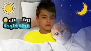 روتين خلودة مع القطة جولدي / طالعناها اول مشوار / كتير خافت🥹