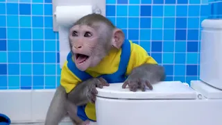 Mono Kiki la furia contra Inodoro Skibidi toilet en la vida real   Mono KiKi ESP 2 #monokiki🐵​