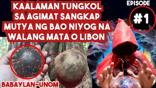 KAALAMAN TUNGKOL SA AGIMAT SANGKAP MUTYA NG BAO  NIYOG  NA WALANG MATA O LIBON