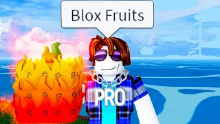 The Roblox Blox Fruits Experience